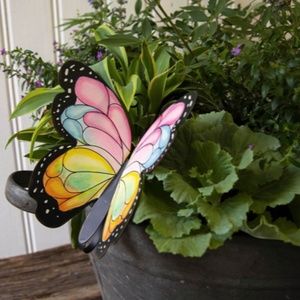 Beautiful Butterfly